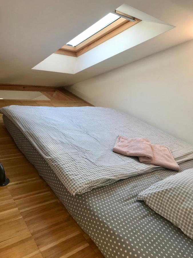 Apartman Slovinska 28 Brno Buitenkant foto
